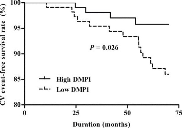 Kaplan-Meier plots for CV outcome-free survival between the lower and higher DMP1 groups.jpg